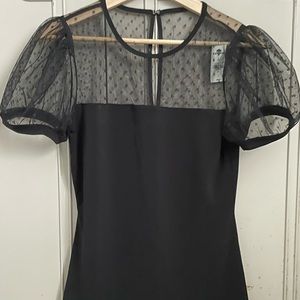 Express Sheer Neck Puffy Tshirt